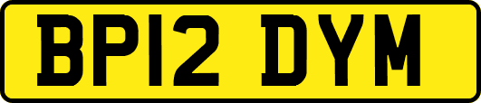 BP12DYM