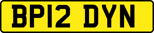 BP12DYN