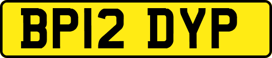 BP12DYP
