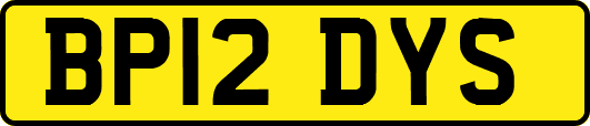 BP12DYS