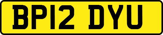 BP12DYU