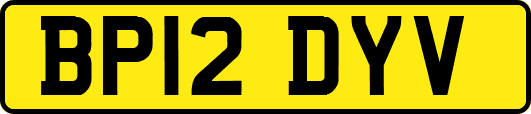 BP12DYV