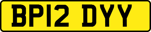 BP12DYY