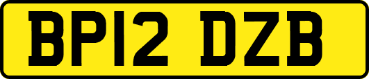 BP12DZB