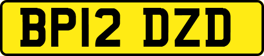 BP12DZD