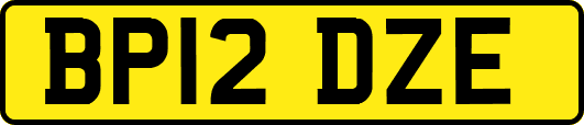 BP12DZE