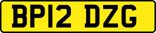 BP12DZG