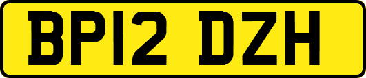 BP12DZH