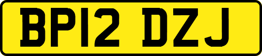 BP12DZJ
