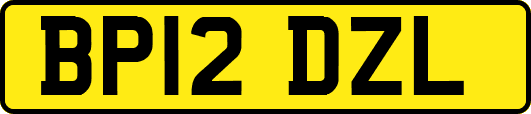 BP12DZL