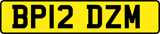 BP12DZM