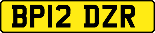 BP12DZR