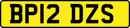 BP12DZS