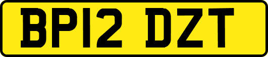 BP12DZT