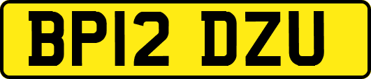 BP12DZU