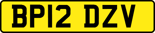 BP12DZV