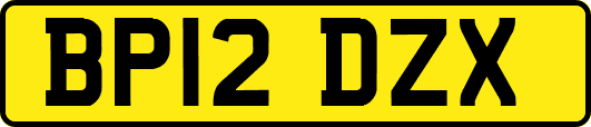 BP12DZX
