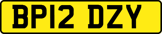 BP12DZY