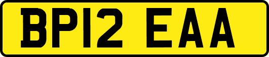 BP12EAA