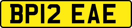 BP12EAE