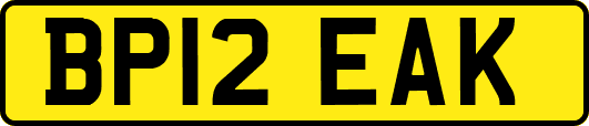BP12EAK