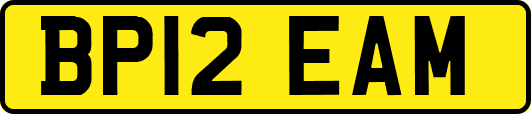 BP12EAM