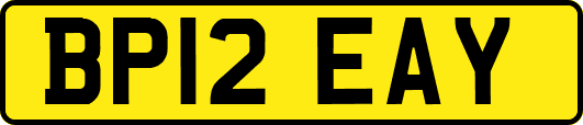 BP12EAY