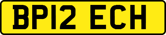 BP12ECH