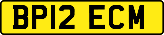 BP12ECM