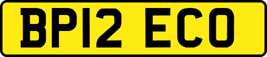 BP12ECO