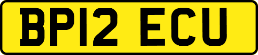 BP12ECU