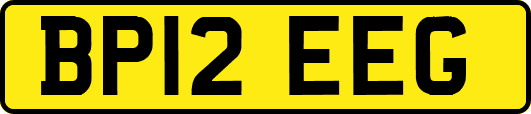 BP12EEG