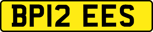 BP12EES