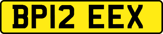 BP12EEX