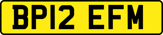 BP12EFM