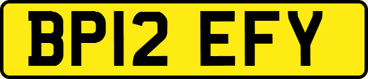 BP12EFY