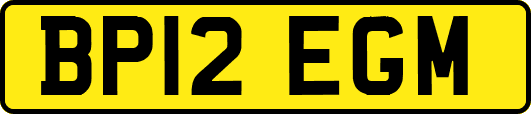 BP12EGM