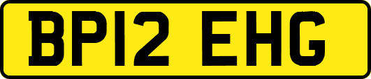 BP12EHG