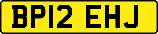 BP12EHJ