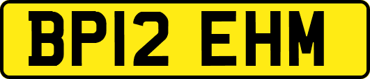 BP12EHM