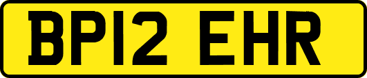 BP12EHR