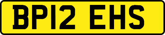 BP12EHS