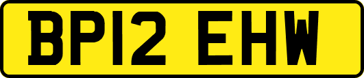 BP12EHW
