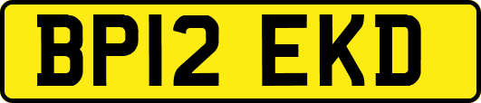 BP12EKD