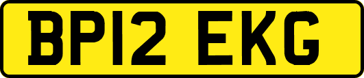 BP12EKG