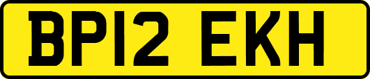 BP12EKH