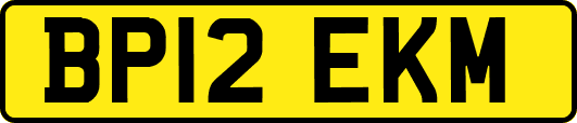 BP12EKM