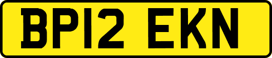BP12EKN