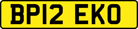 BP12EKO