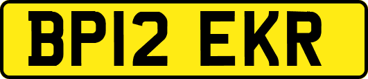 BP12EKR